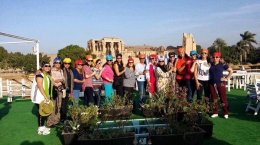 رحلة الاقصر واسوان -مصر